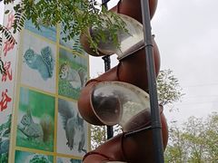 -欢乐松鼠谷