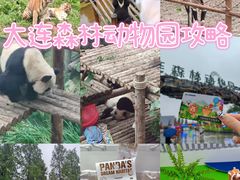 -大连森林动物园