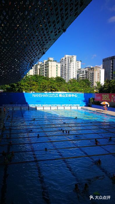 南山文体中心游泳馆-图片-深圳运动健身-大众点评网