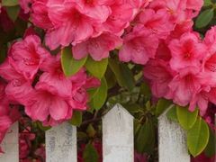 -杭州六谷生态休闲农庄有限公司