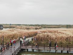 -宁波杭州湾国家湿地公园