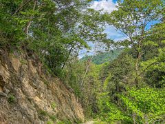 -素山寺森林公园