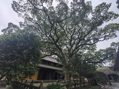 -阿育王寺