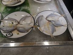 -四海蒸鲜蒸汽海鲜自助(北戴河店)
