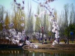 -东郊湿地公园