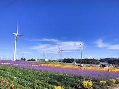 -草原天路(张北县)