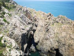 -长江澳风力发电景观区