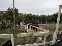 -锦江中华村农家乐饭庄