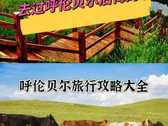 -呼伦贝尔大草原