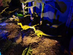 -恐龙探索乐园(磁器口店)