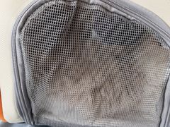 -中农国际动物医院24小时·猫科·骨科·急重症中心
