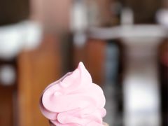 -红鼎坊·老成都火锅(新南门店)
