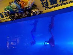 -成都浩海立方海洋公园
