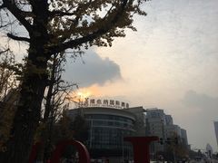 -百林公园-两江幸福广场