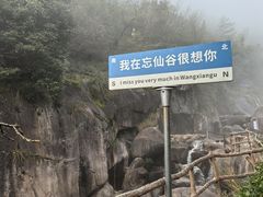 -黄山翡翠谷景区