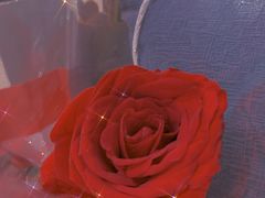 -海底捞火锅(群光广场店)