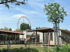 -石家庄市动物园