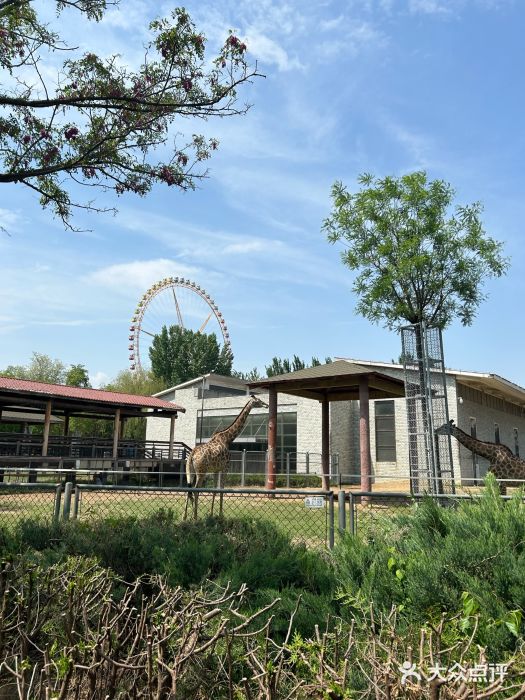 石家庄市动物园图片