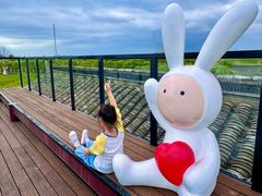 -杭州湾海上花田景区