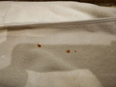 -大连心悦大酒店