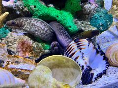 -太平洋海底世界