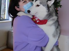 -Husky Go! 哈士奇体验馆·宠物咖啡厅狗咖