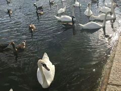 -海德公园