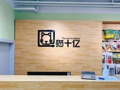 -猫十亿·布偶金渐层·曼基康矮脚猫舍(青年路店)