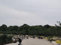 -新江湾城公园