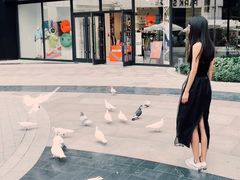 -中粮·祥云小镇