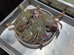 -船梆煮•蒸汽海鲜·炉火烤肉(五四广场店)