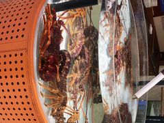 -万龙洲海鲜(大兴绿地缤纷城店)