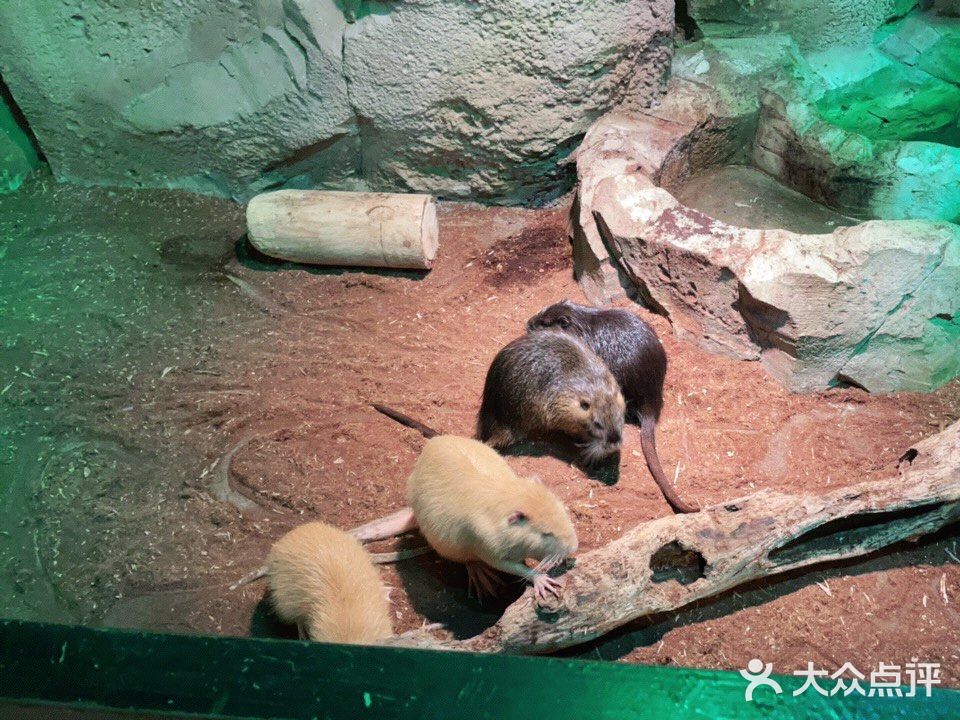 周末溜娃好去处~娃开心，你想做啥就做啥