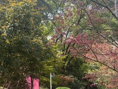 -上海雅居乐万豪侯爵酒店