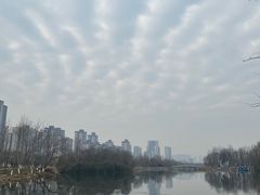 -洋湖国家湿地公园