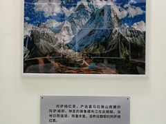 -万达广场(济南魏家庄店)
