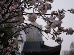 -堤角公园