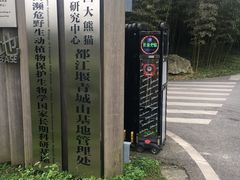 -都江堰中华大熊猫苑