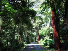 -中国科学院西双版纳热带植物园