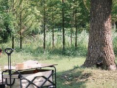 -昆山城市生态森林公园