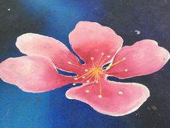 -桃花岛景观公园