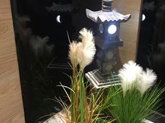 大堂-水之惠鲜鱼料理(王府大街店)