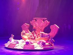 -广州长隆国际大马戏