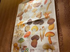 -滇野云南野生菌餐厅(陕西南路店)