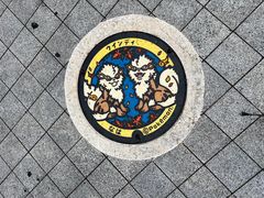 -国际通