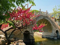 -团结湖公园