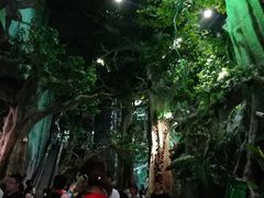 -福州罗源湾海洋世界旅游区