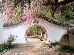 -深圳国际园林花卉博览园