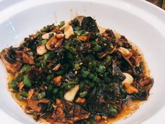 -饭怕鱼(阳光100店)