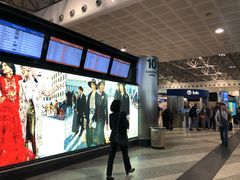 -米兰马尔彭萨国际机场